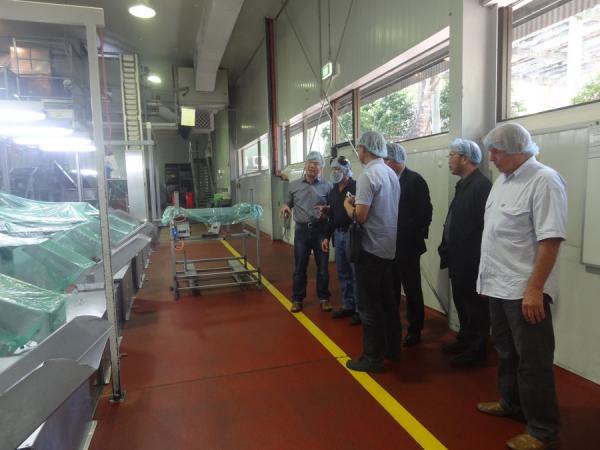 黄强所长率团出访澳大利亚 开创澳洲坚果国际交流新局面