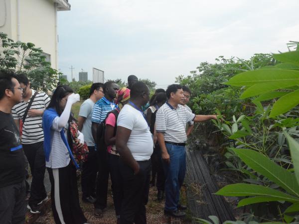 2018年非洲国家木薯生产与加工技术研修班学员到广西热作所开展学习交流活动