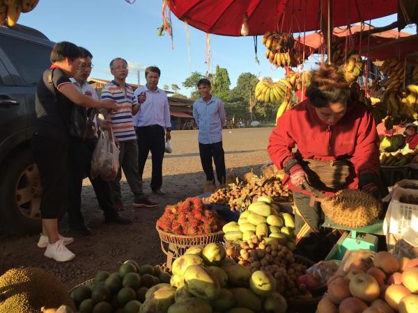 广西热作所科技人员赴老挝开展广西科技计划项目技术培训