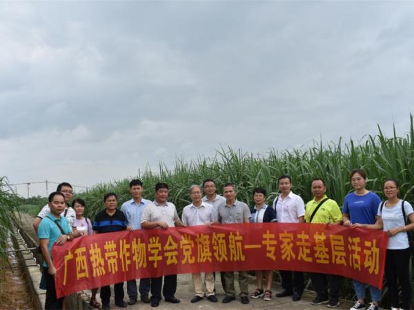 广西热带作物学会“党旗领航—专家走基层”活动(第二期)在百色召开