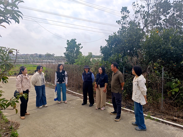 1773913105821417.jpg bcd38629405341fa296858600923e6c8_副本.jpg